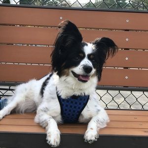 Meet your Posher, Florence